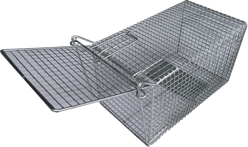 File:Rat cage trap 3y08.JPG - Wikipedia